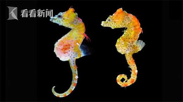 农田必须是肥沃的土地。截图3