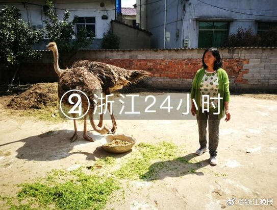 澳门跨境电子商务行业首次探索葡萄牙和法国的商机。截图3