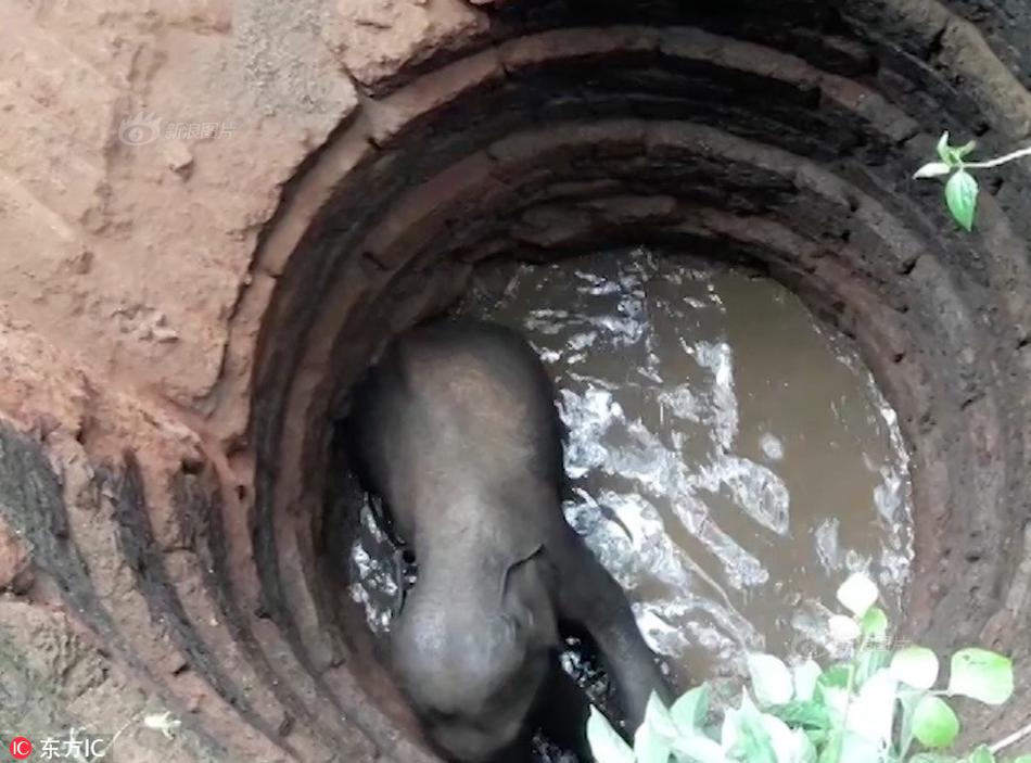 暴雨期间生活必需品供应充足且价格稳定截图2