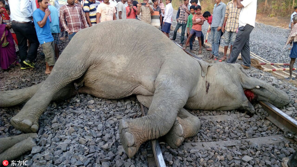 香港捐赠20吨救援物资赈济缅甸灾民截图2