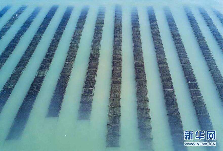 全球首款搭载独立北斗定位系统的量产乘用车在东风汽车公司下线。截图4