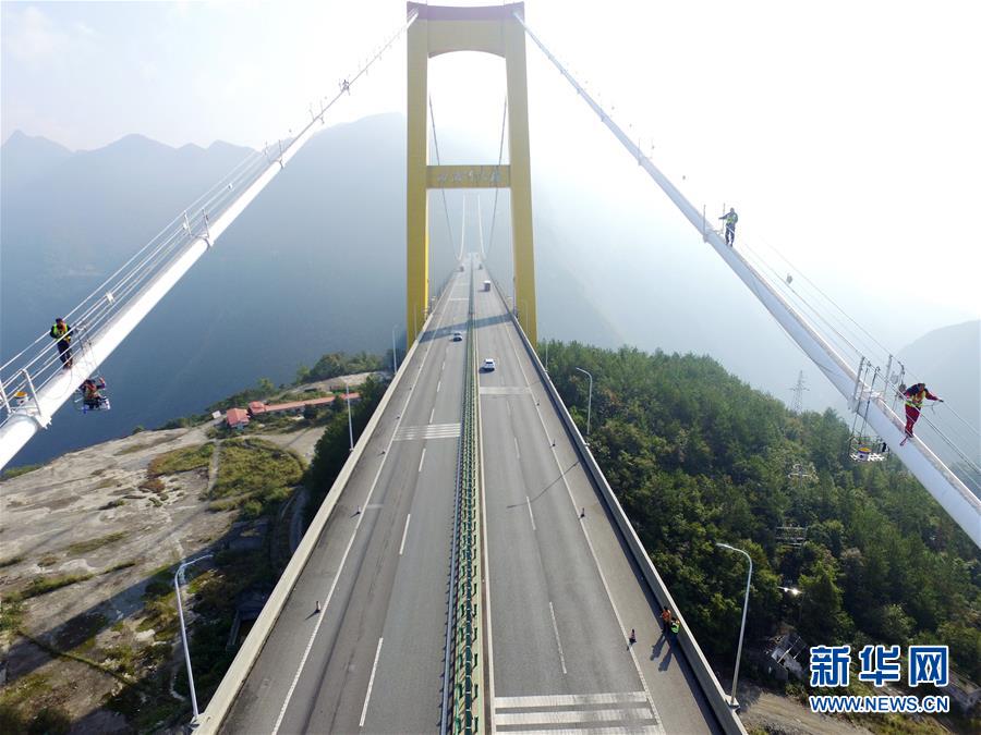 夏粮小麦收购量超1700万吨截图2