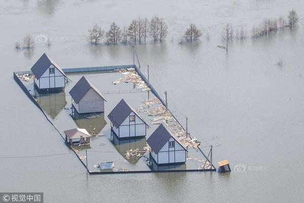罗乾{宜}、张彦军会见国家电网副总经理陈国平