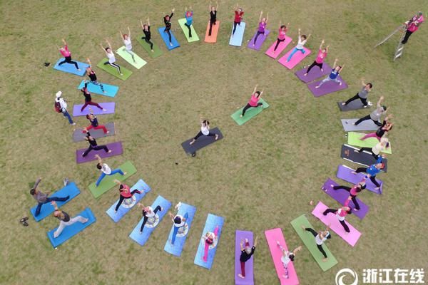 借助数字化“顺风”，展现乡村的新面貌截图3