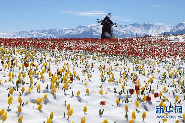 今年5月，一名女婴在心脏手术中不幸身亡。宁波市卫生健康委员会表示，手术过程中存在失误，多名相关官员已被免职。截图2