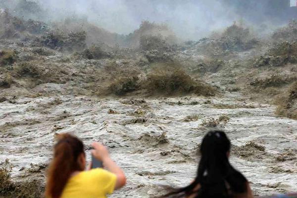 陆爷的小祖宗又撩又飒