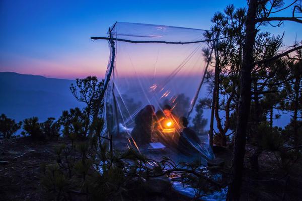 网王之天使羽翼