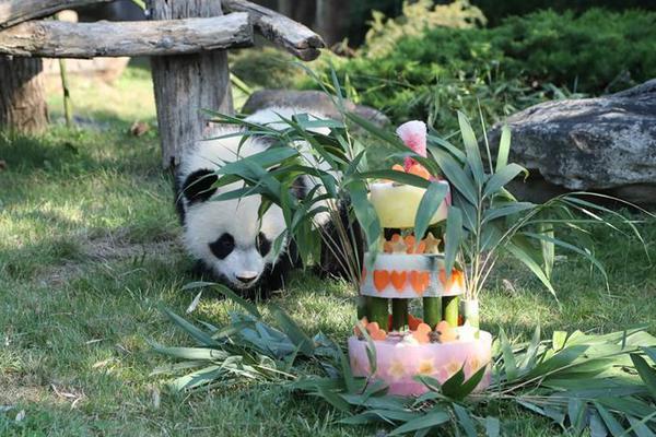 欧盟国防自主“路线图”的未来仍然充满不确定性。截图4