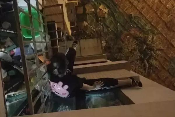 光环;新网三季;度净利润减少69.43%