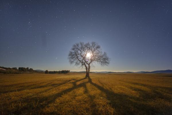 澜沧古{茶}一举亏掉前三年利润总和：渠道失守、存货逐年增加、偿债压力剧增