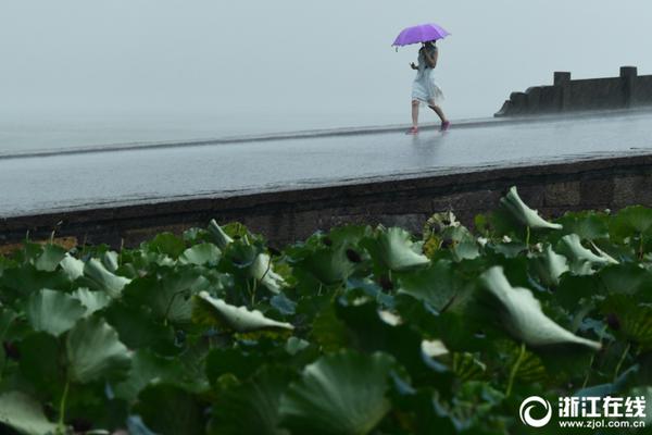 陈震因偷税漏税被罚款共计247.48万元人民币。截图1