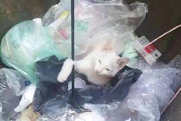 为了确保“夏季三次收成”期间获得丰收截图4