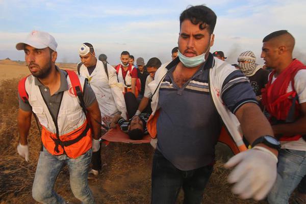 e{t}f日报：煤炭价格端或持续强韧，煤炭行业基本面总体稳中有进，关注煤炭etf