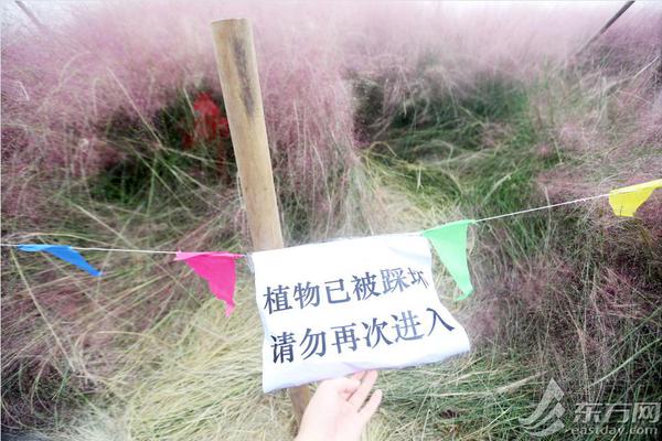 中国出入境旅游动能强劲 成全球旅游收入增长核心动力截图1