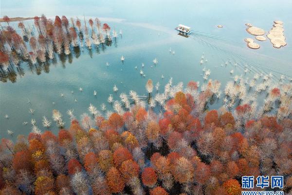 加快培育和开放应用场景，为新技术和新产品打造“试验场”。截图3
