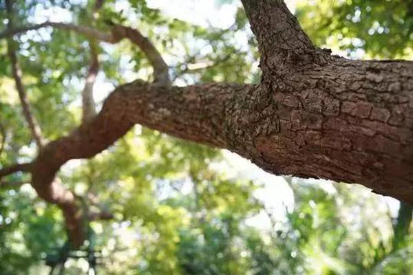 帮助受灾群众尽快恢复正常生产生活秩序截图3