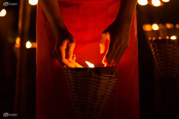 技术助力种子产业复兴截图4