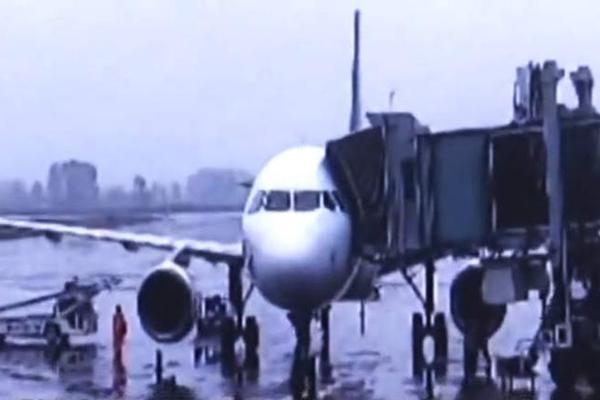 穿成炮灰小师妹后我把满门揍哭了