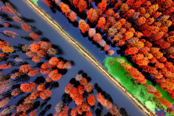 吉林市诚挚邀请游客前来体验其独特的“多彩”秋季美景，欢庆中秋节和国庆节。截图0