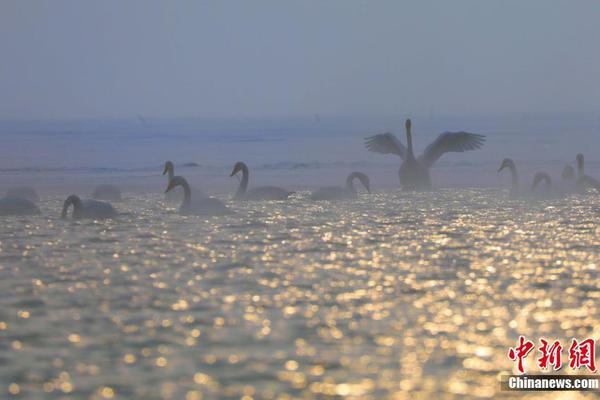 概述：一系列重大事件激发了香港经济的新活力。截图2