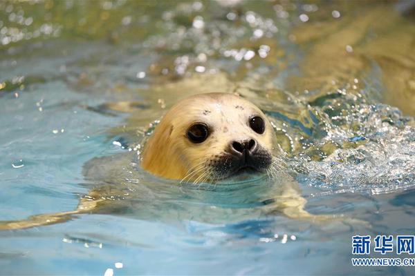 政策助农重在接地气截图4