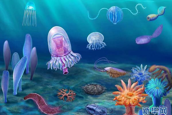 最后一个道士ⅱ