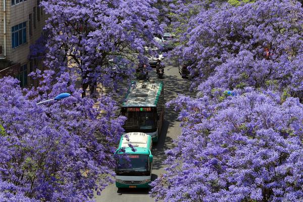 新疆农业正朝着“新”方向发展。截图1