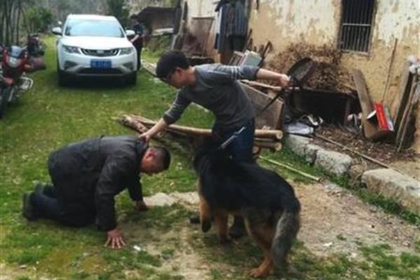 科技助力种子产业复兴截图4