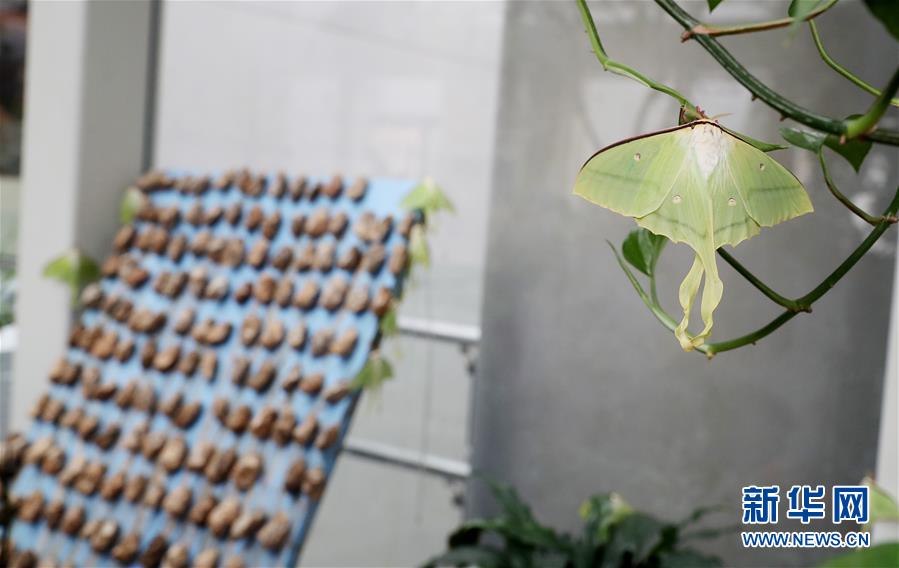 香港客家公会举行第六届理事会就职典礼。截图1