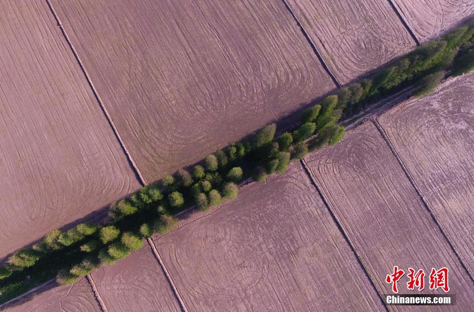 2024年媒体社会责任报告发布截图4