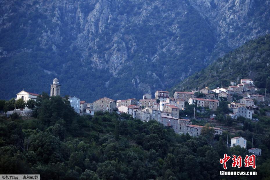 农田必须是肥沃的土地。截图2